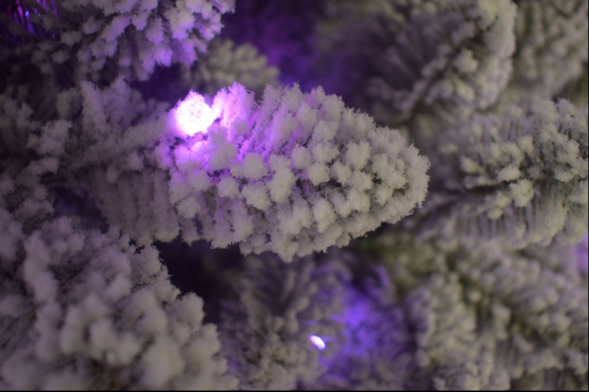 Najlepiej sprzedająca się sztu – Home Decor Lighting Manufacturer recenzja i cena
